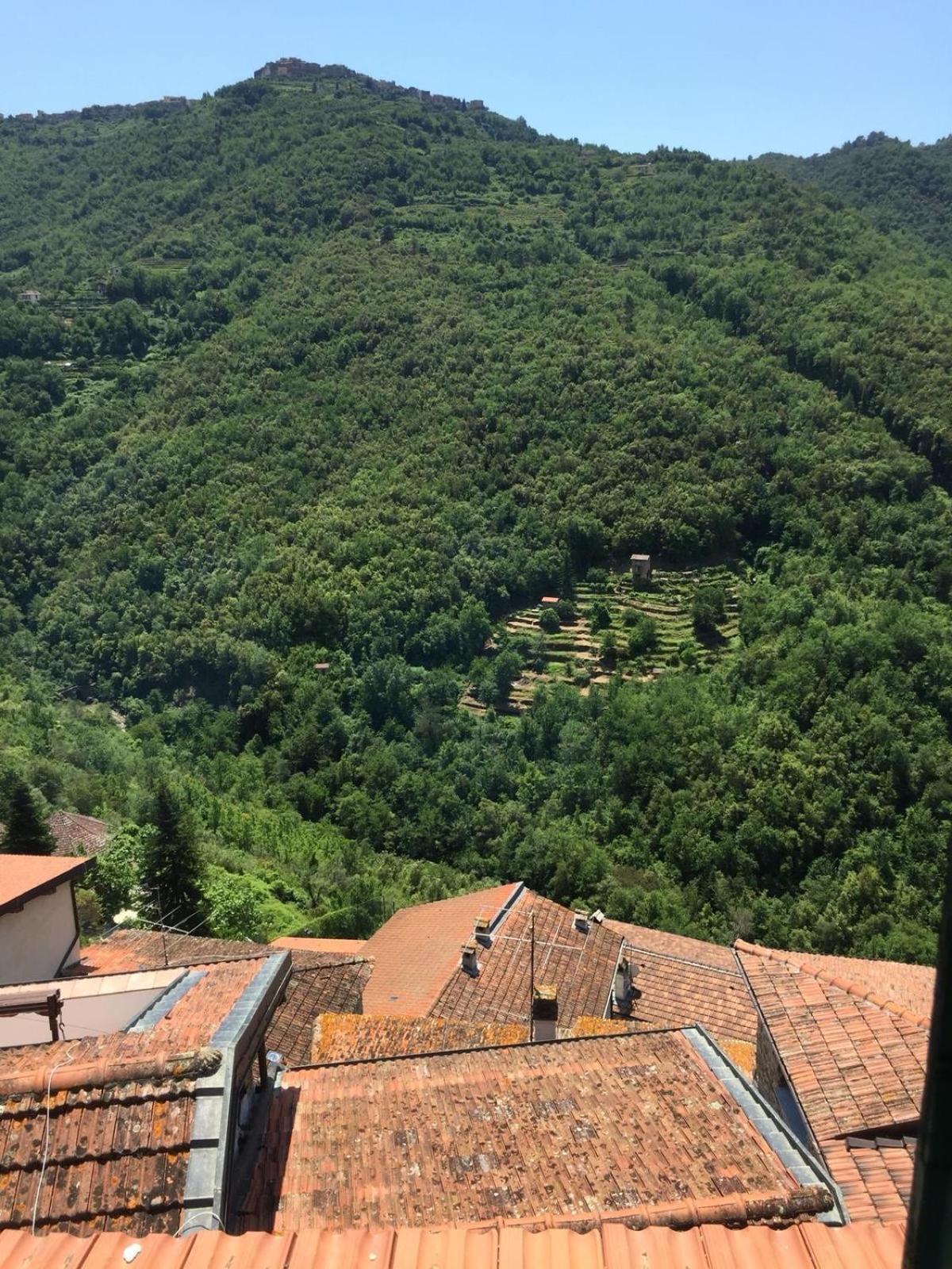 House In The Medieval Village Apricale Exteriér fotografie